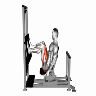 Lever Horizontal Leg Press