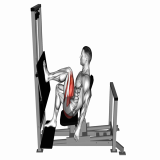 Lever Horizontal One leg Press