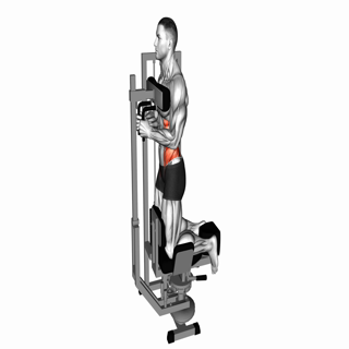 Lever Kneeling Twist