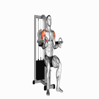 Lever Lateral Raise