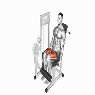 Lever Leg Extension