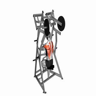 Lever Low Row (plate loaded)