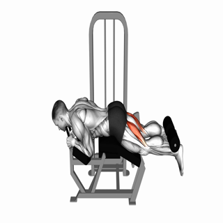 Lever Lying Leg Curl