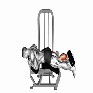 Lever Lying Single Leg Curl