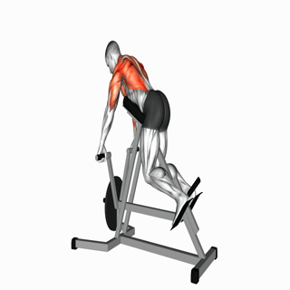 Lever Lying T-bar Row
