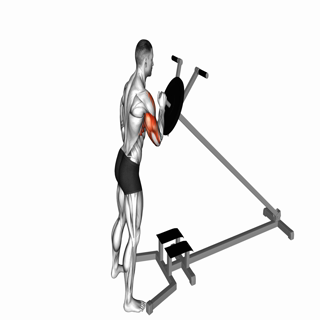 Lever One Arm Shoulder Press (plate loaded)