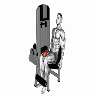 Lever One Leg Extension
