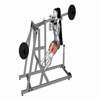 Lever Pendulum Squat (plate loaded)
