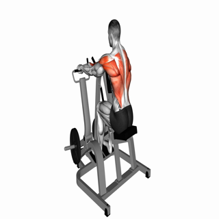 Lever Pronated Grip Seated Row (plate loaded)