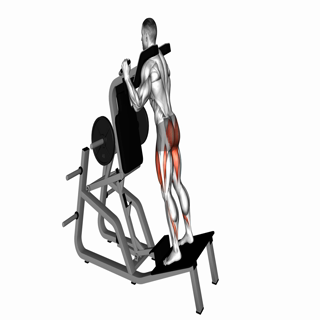 Lever Reverse Vertical Hack Squat