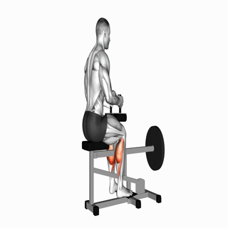 Lever Seated Calf Raise
