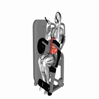 Lever Seated Crunch