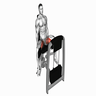 Lever Seated Hip Adduction