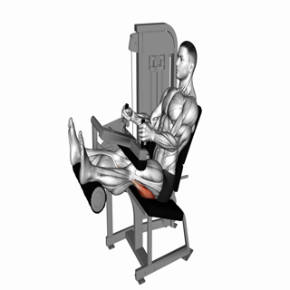 Lever Seated Leg Curl