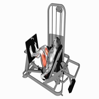 Lever Seated Leg Press