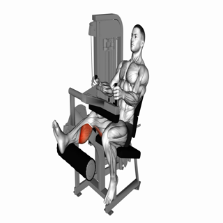 Lever Seated One Leg Curl