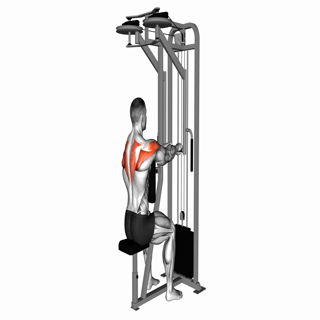 Lever Seated Reverse Fly