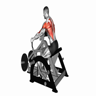 Lever Seated Row (plate loaded)