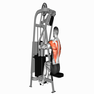 Chest Supported Row Machine
