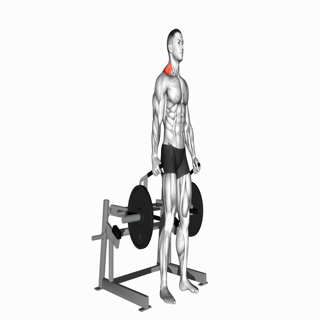 Lever Shrug (plate loaded)
