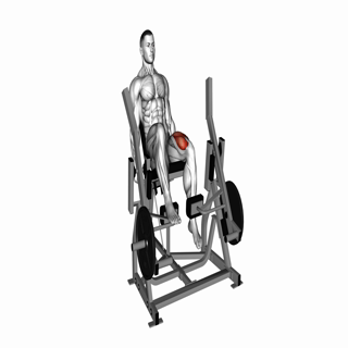 Lever Single Leg Extension (plate loaded)