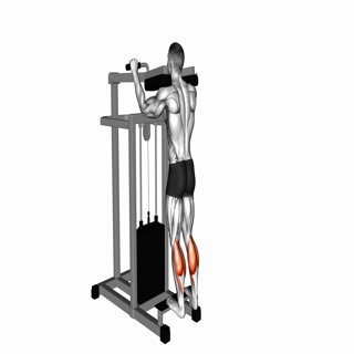 Lever Standing Calf Raise