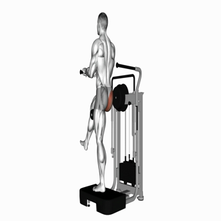 Lever Standing Rear Kick