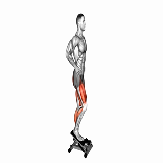 Lever Step (VERSION 2)