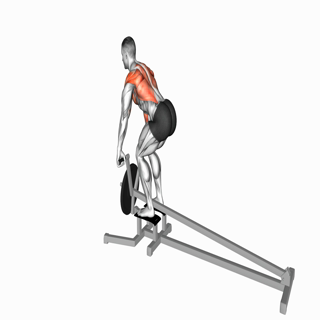 Lever T-bar Row (plate loaded)