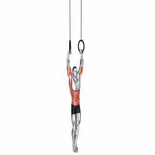 Muscle-up