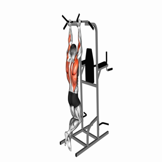 Neutral Grip Chin-up