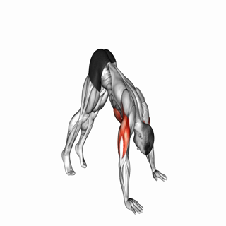 Pike Push-up