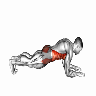 Plank