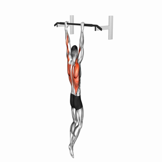 Pull-up