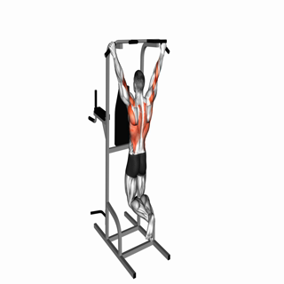 Pull-up (wide grip)