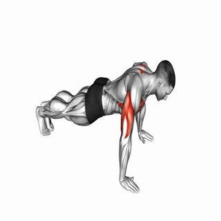 Push-Up Plus