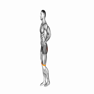 Resistance Band Standing Balance Glute Kickback
