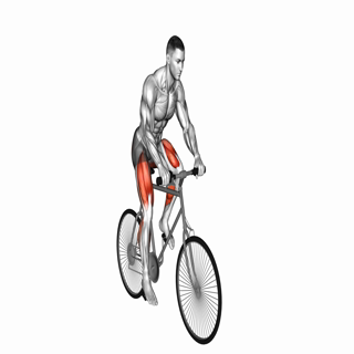 Riding Outdoor Bicycle