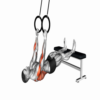 Ring Inverted Row