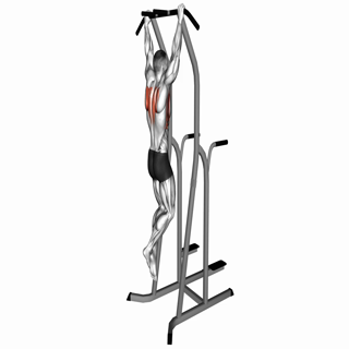 Scapula Pull-up