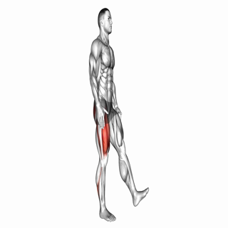 Single Leg Squat (pistol)