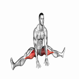 Sitting Wide Leg Adductor Stretch