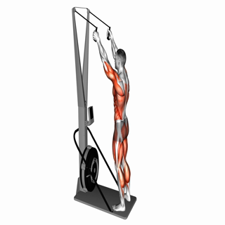 Ski Ergometer