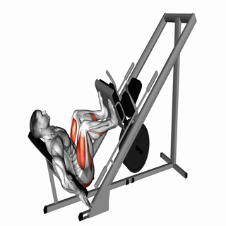 Leg Press