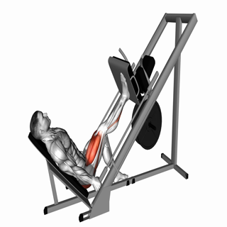 Single Leg Press