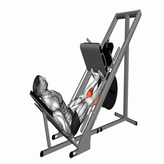 Calf Press on Leg Press