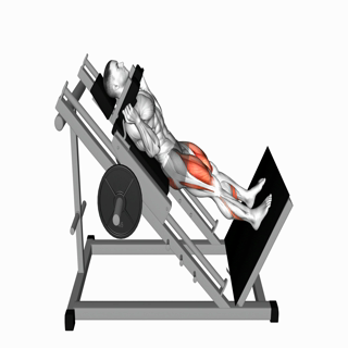 Sled Hack Squat