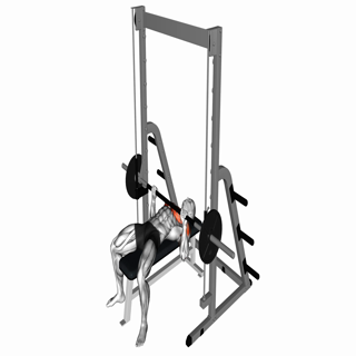 Smith Bench Press