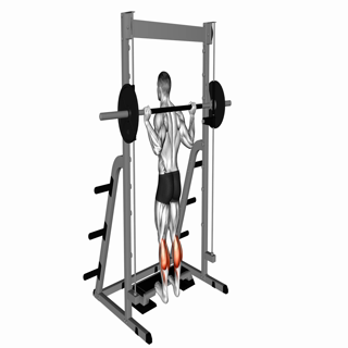 Smith Calf Raise (version 2)