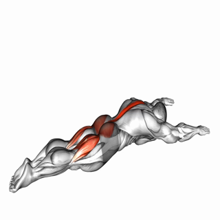 Superman W